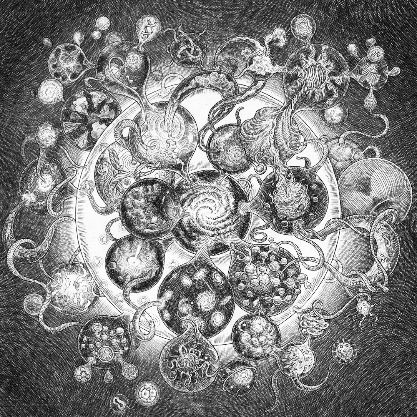 intricate biological mandala