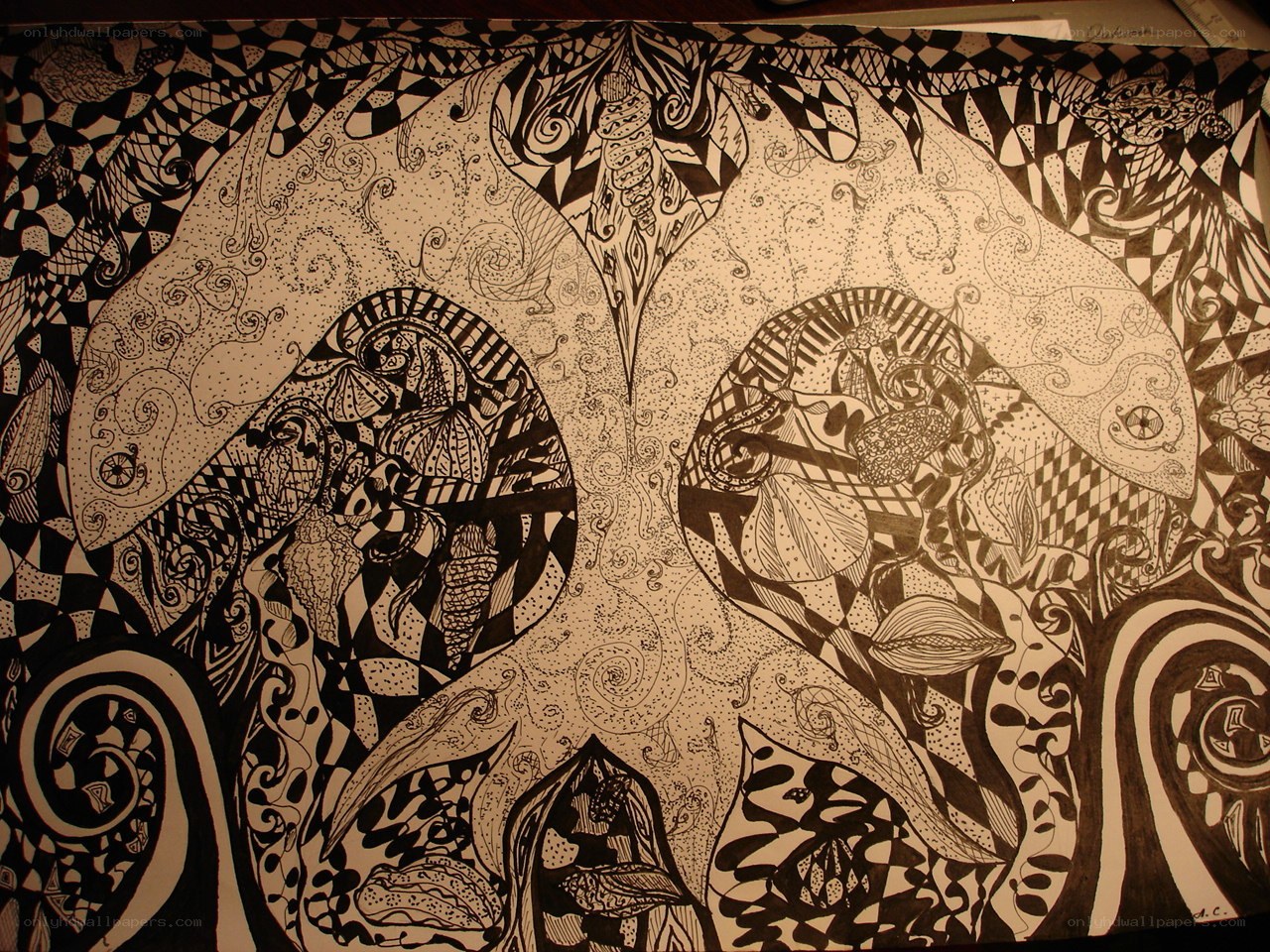 intricate black and white drawing