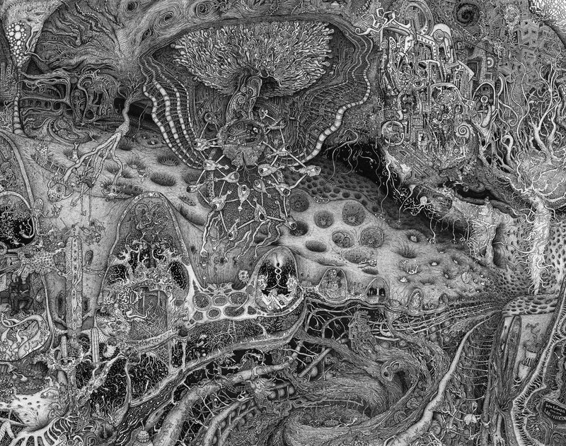 Intricate black and white illustration