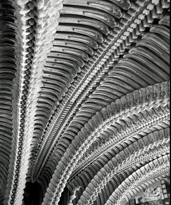 intricate ceiling vault