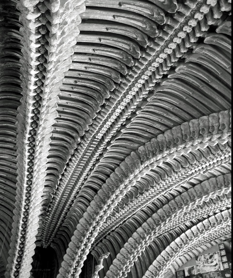 intricate ceiling vault