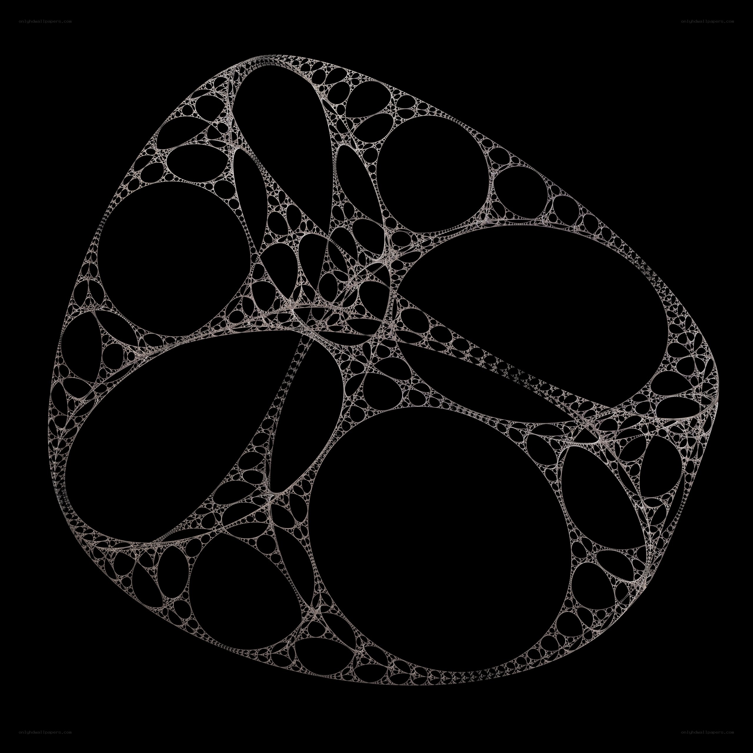 intricate fractal network