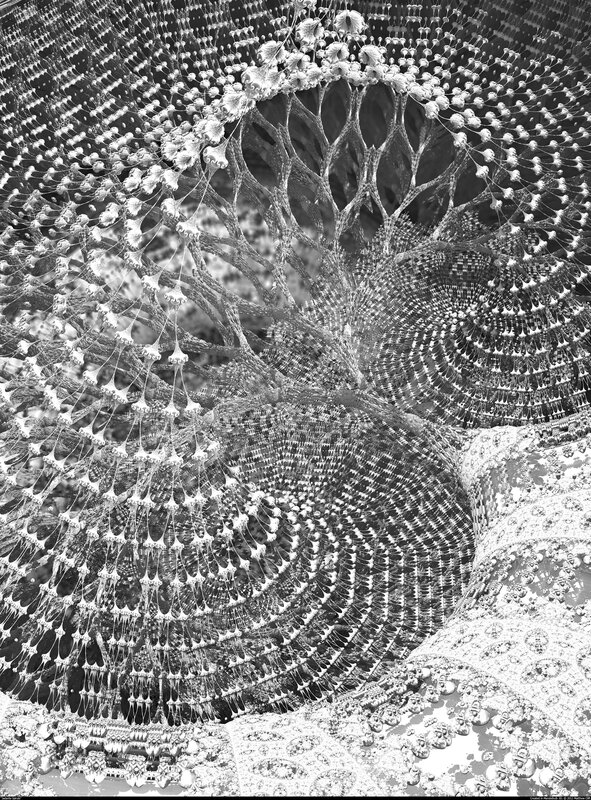Intricate Fractal Structure — Black