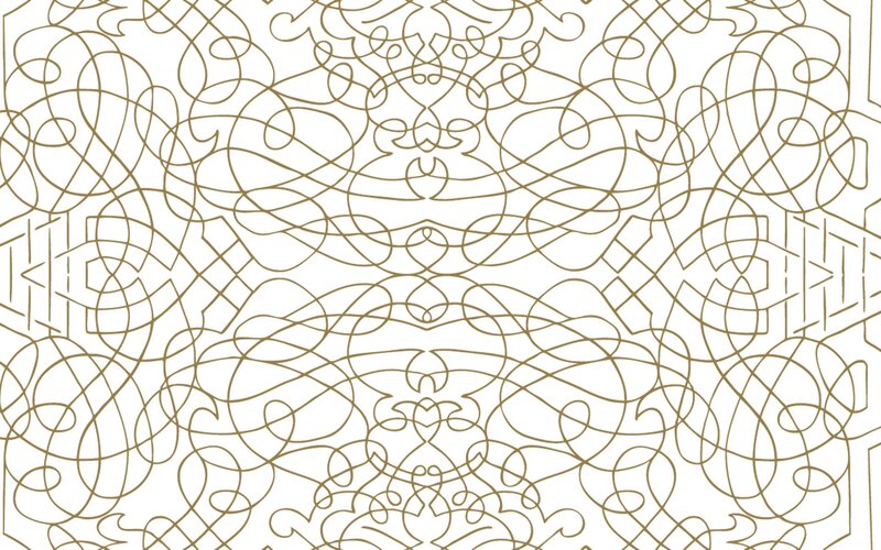 intricate line art pattern