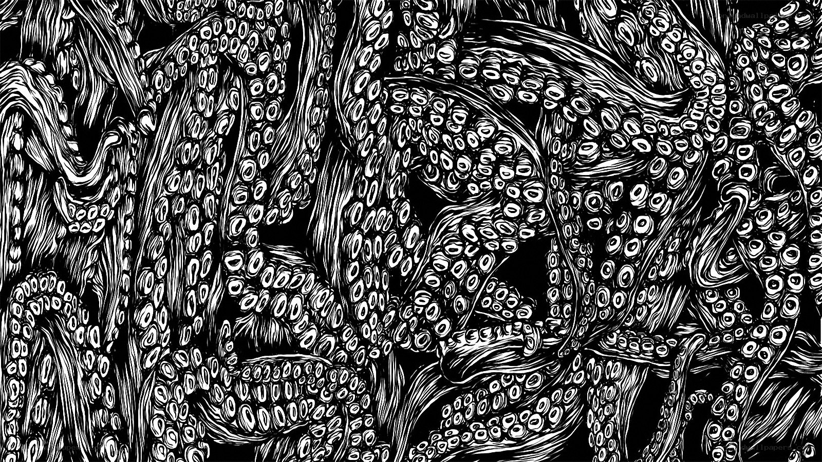 intricate octopus tentacle drawing