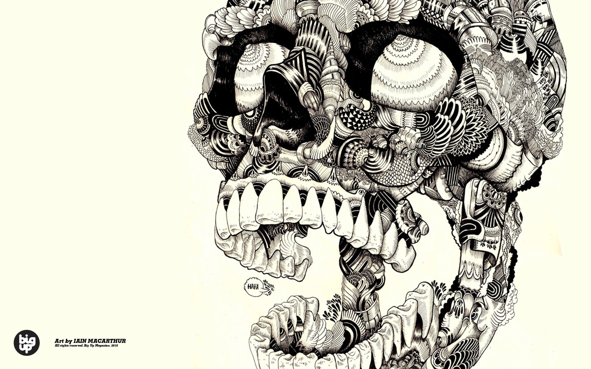 Intricate skull illustration