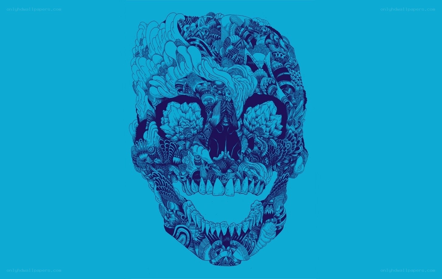 intricate skull illustration