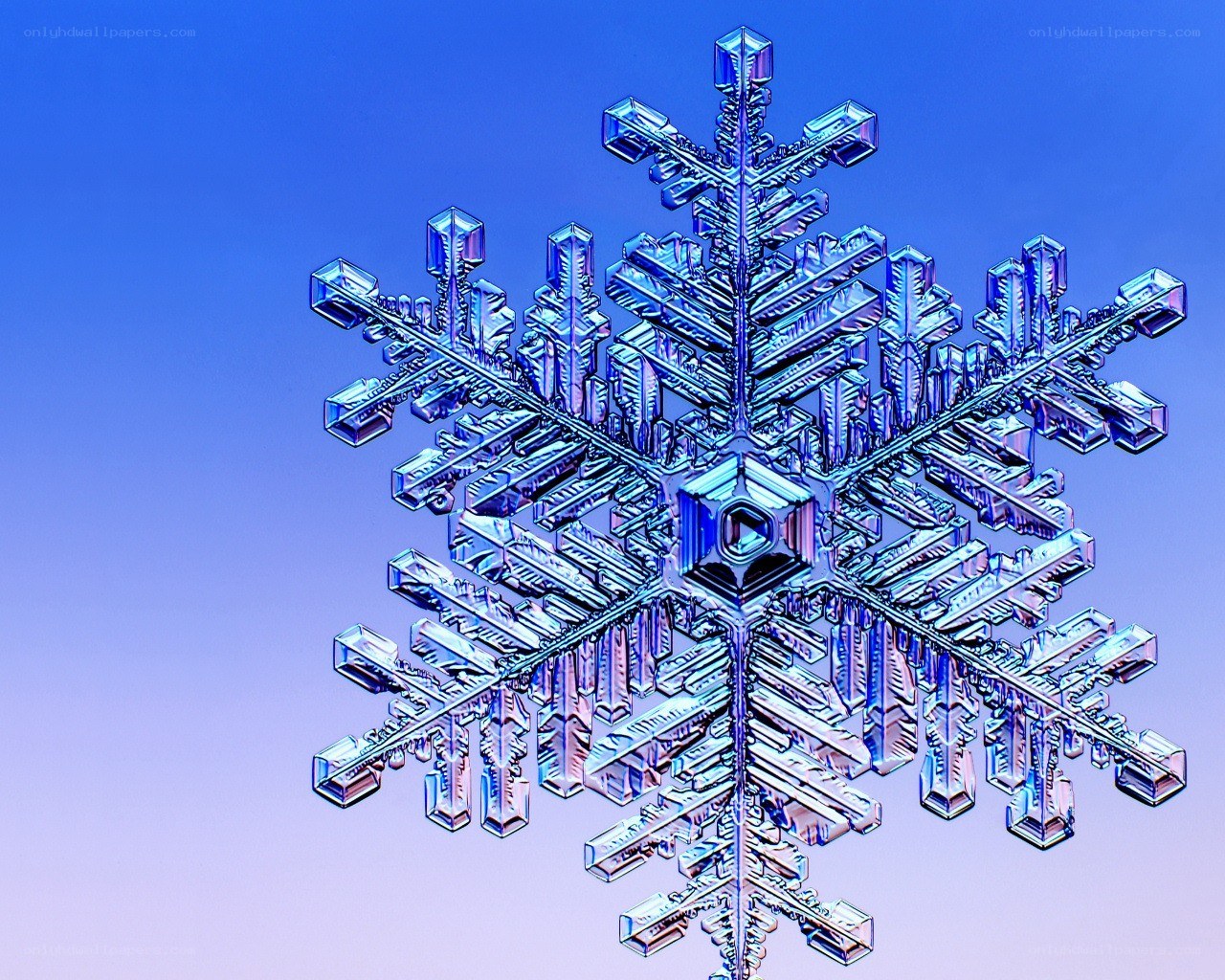 intricate snowflake crystal