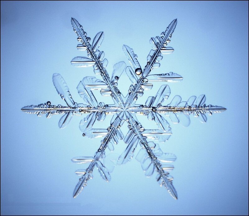 intricate snowflake crystal