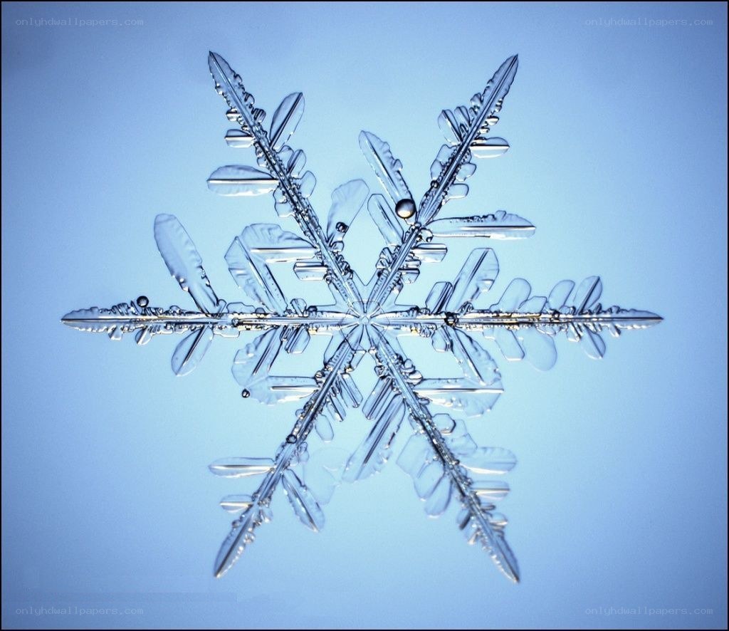 intricate snowflake crystal