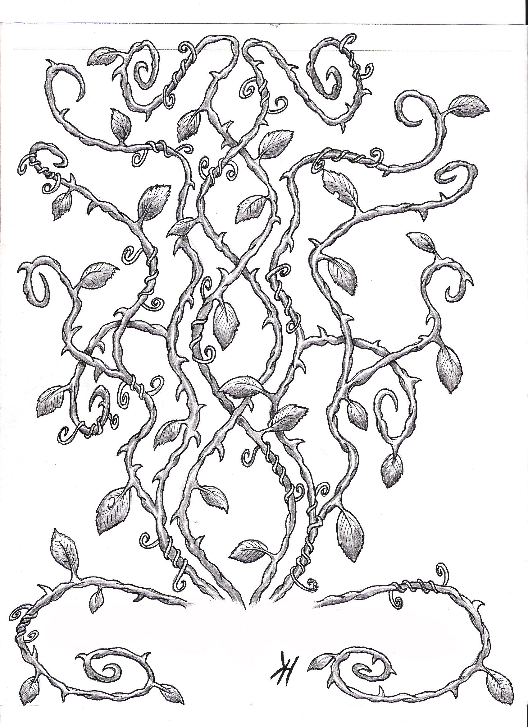 intricate vine drawing