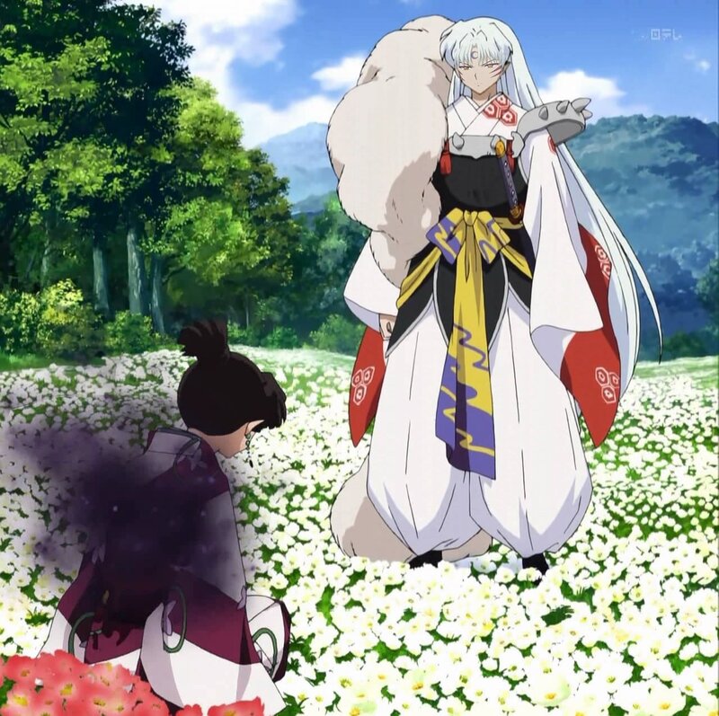 Inuyasha and Kagome in a flower field