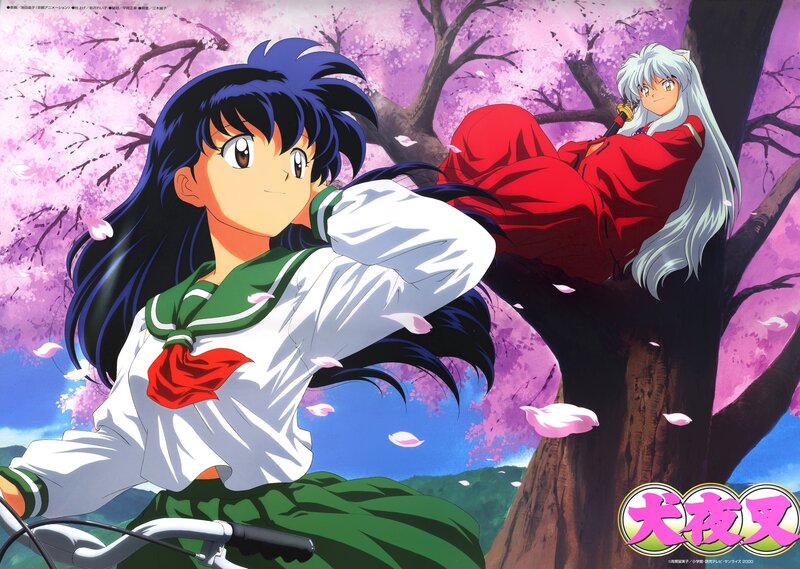 Inuyasha and Kagome in cherry blossoms