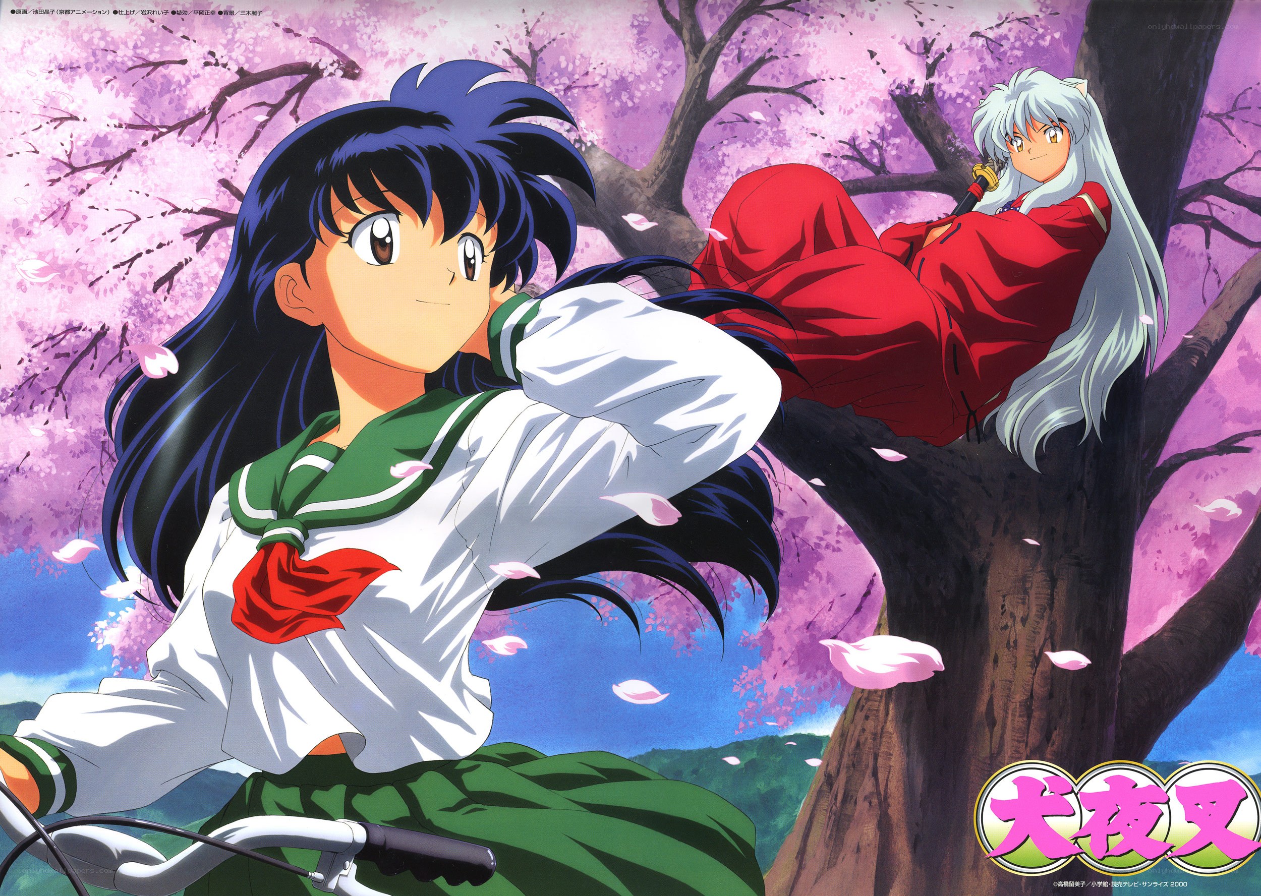 Inuyasha and Kagome under cherry blossoms