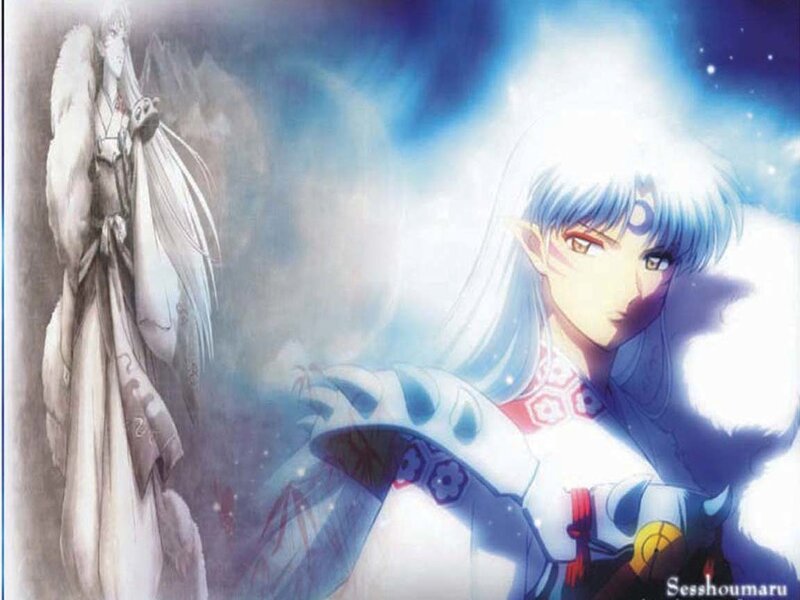 Inuyasha and Sesshomaru artwork