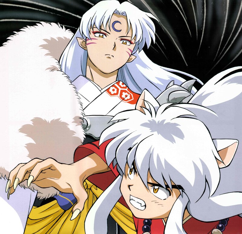 Inuyasha and Sesshomaru in battle