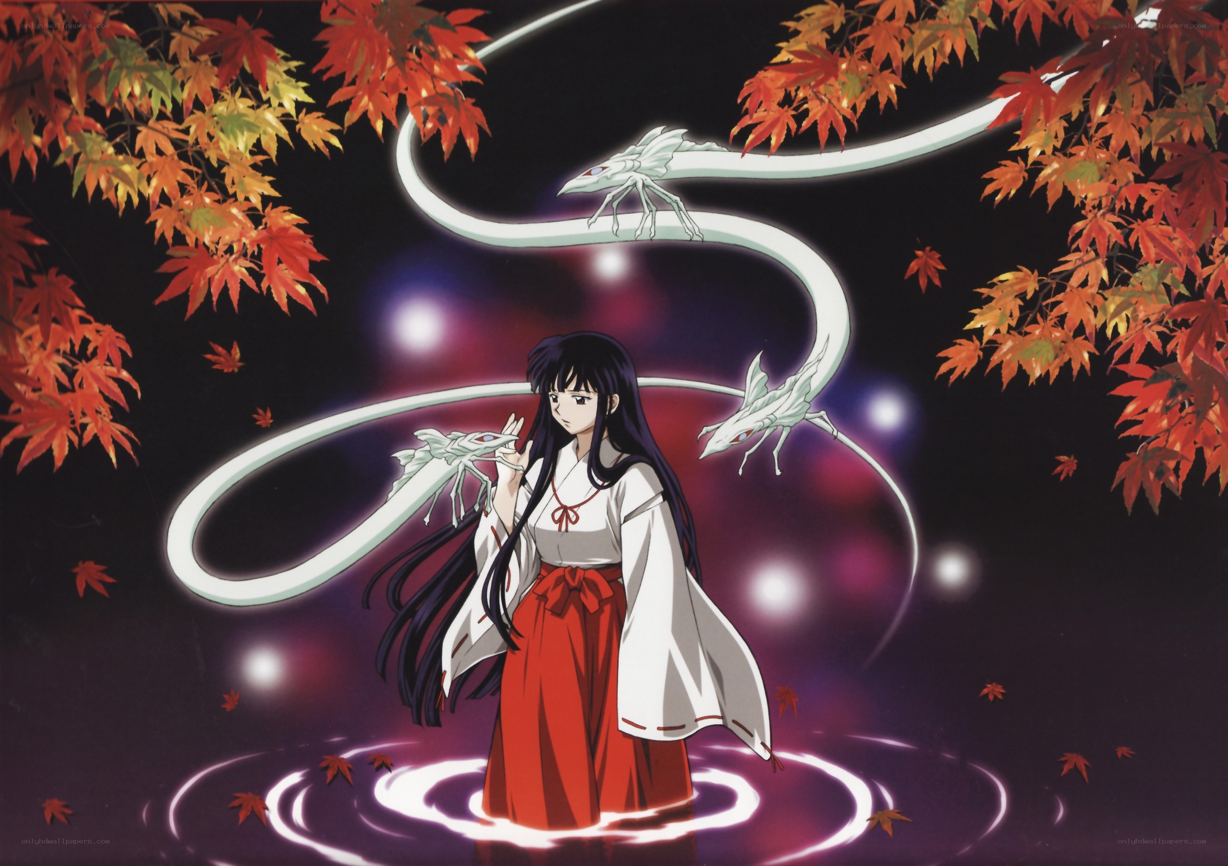 Inuyasha and the sacred dragon