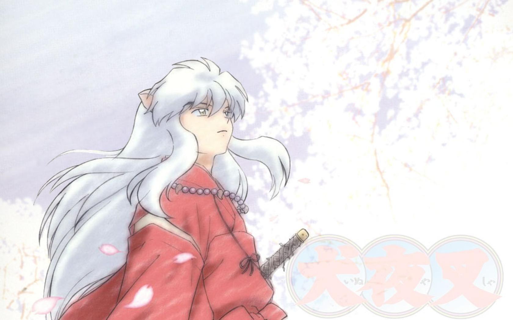 Inuyasha in a cherry blossom field