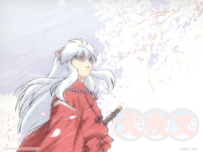 Inuyasha in the cherry blossoms