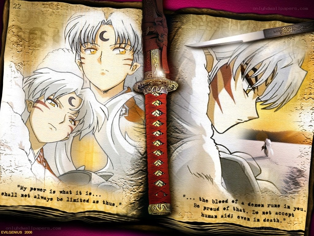 Inuyasha manga pages