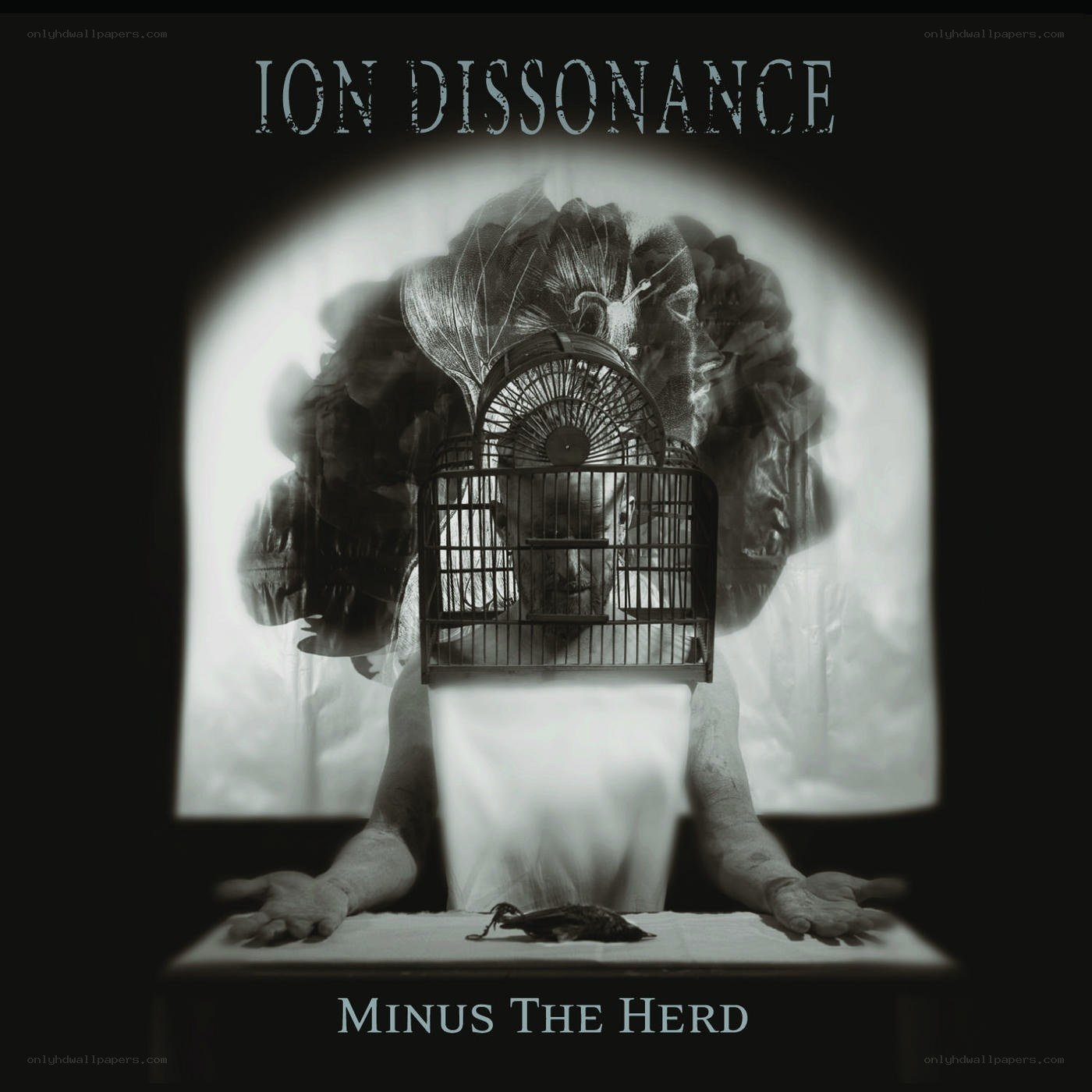 Ion Dissonance album cover