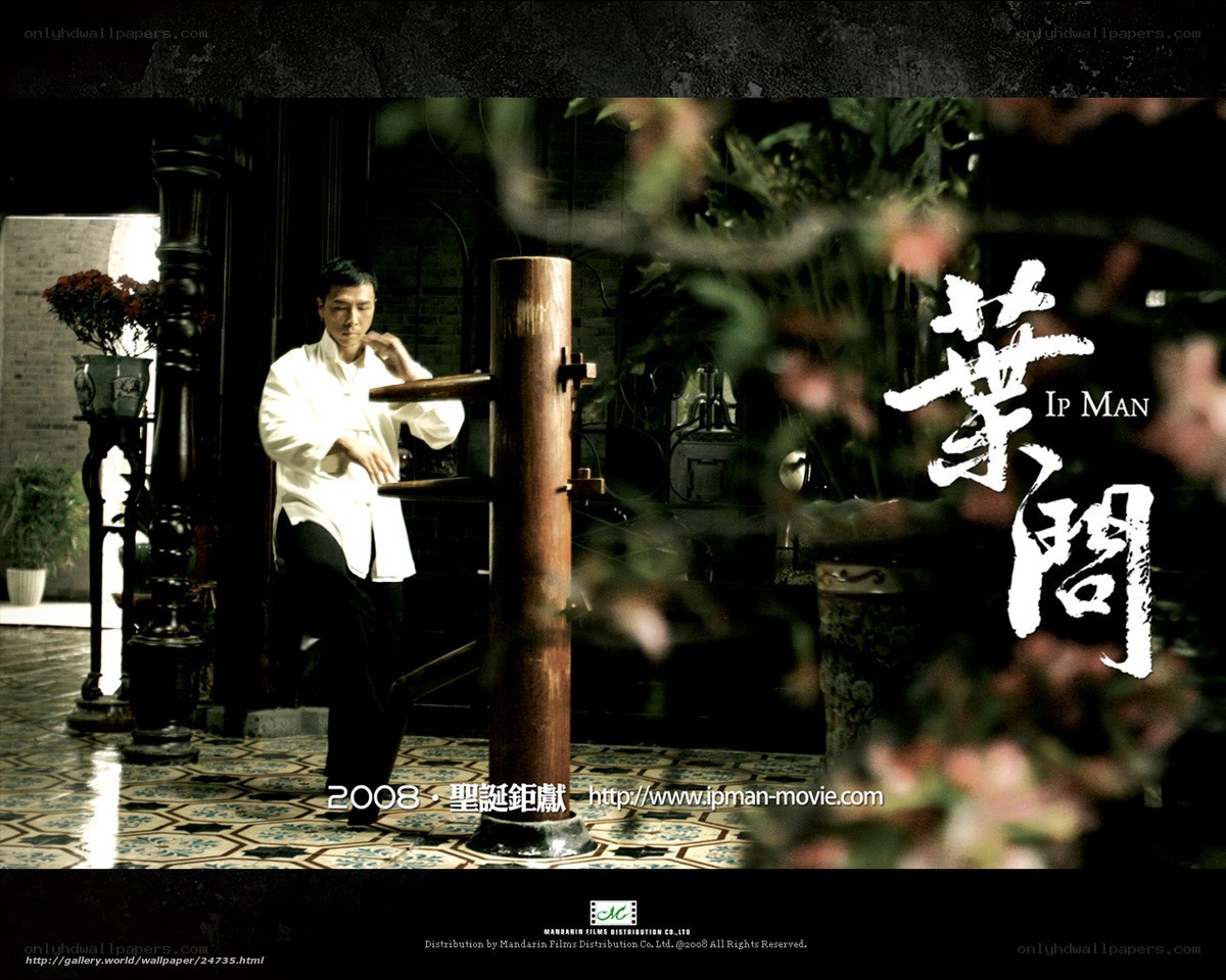 Ip Man movie poster