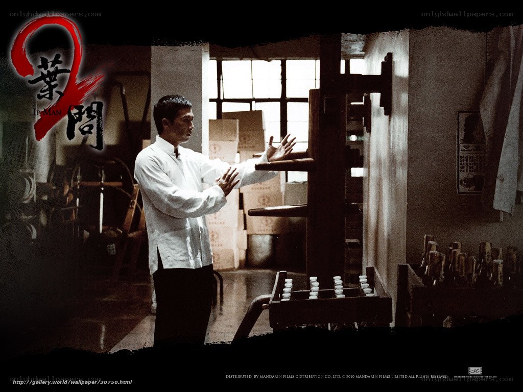 Ip Man practicing martial arts