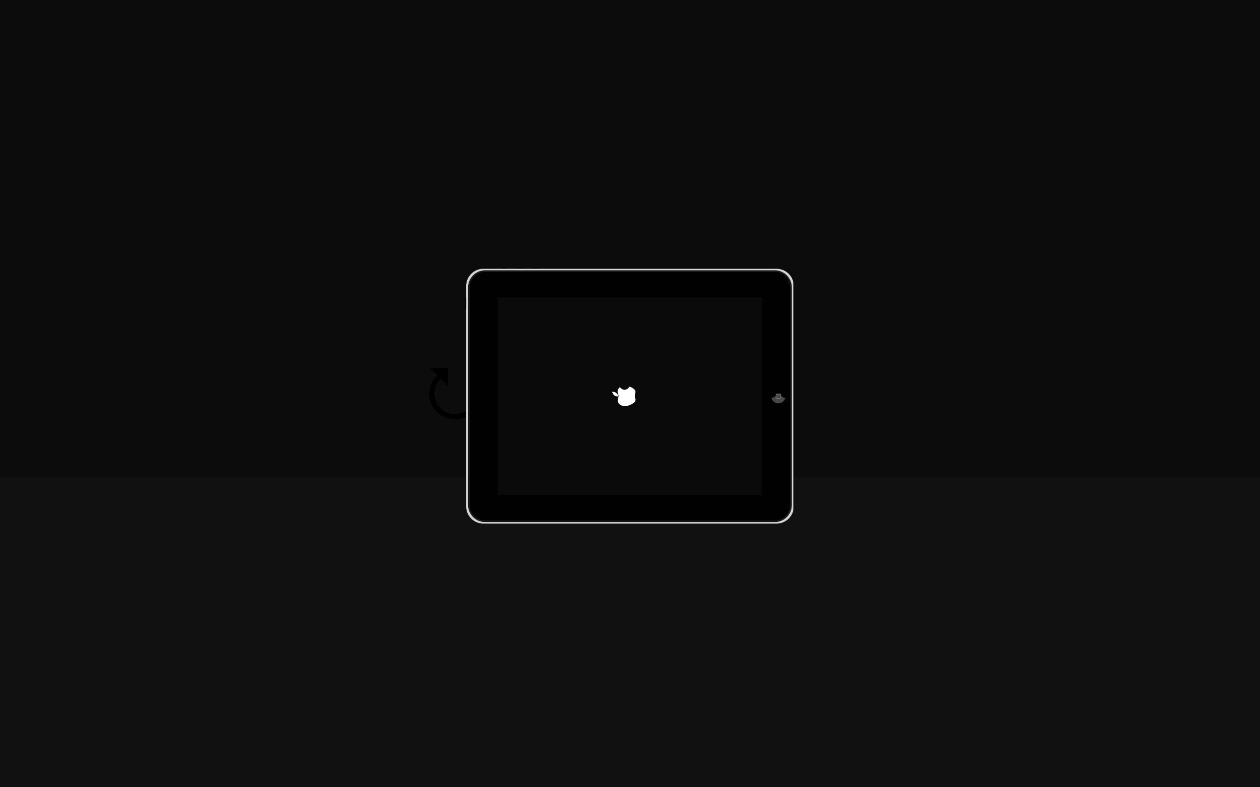 iPad boot screen