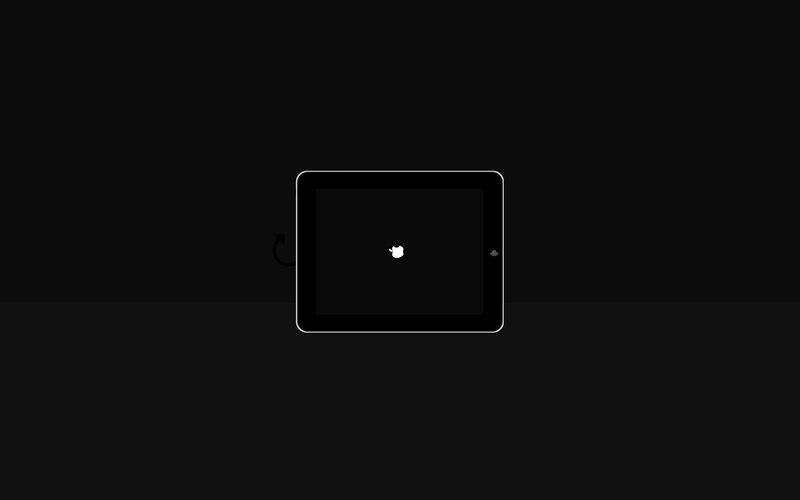 IPad During Startup