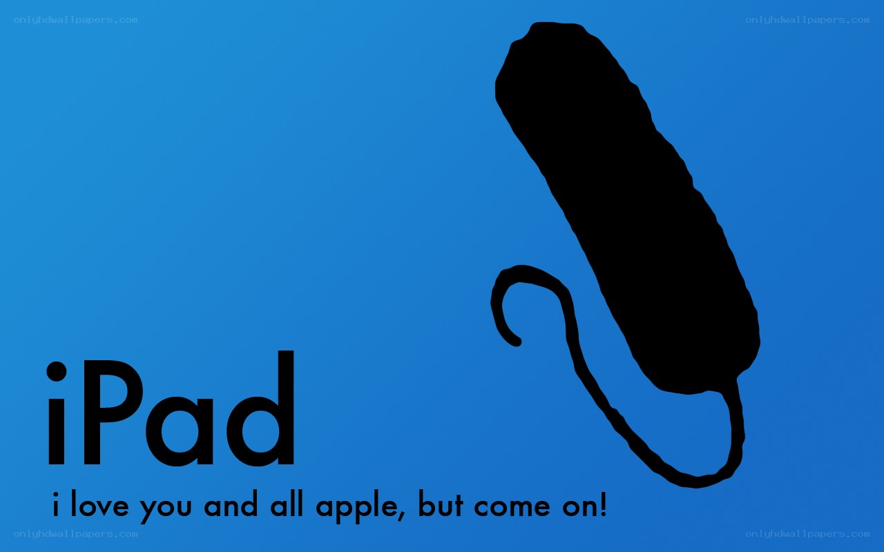 iPad silhouette with text