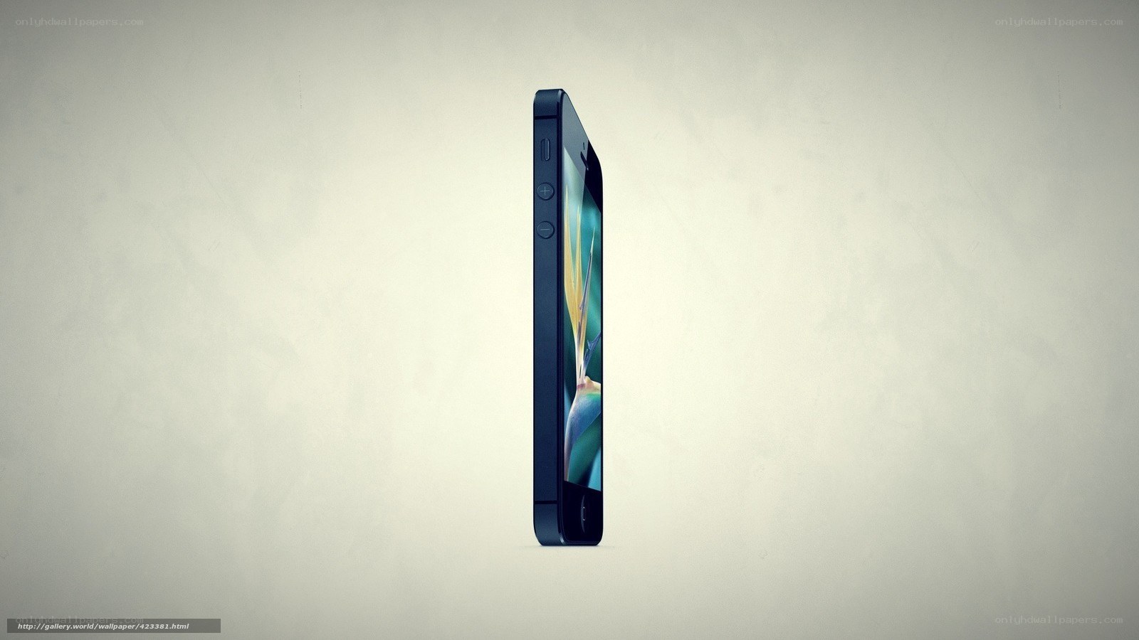 iPhone 5 side profile
