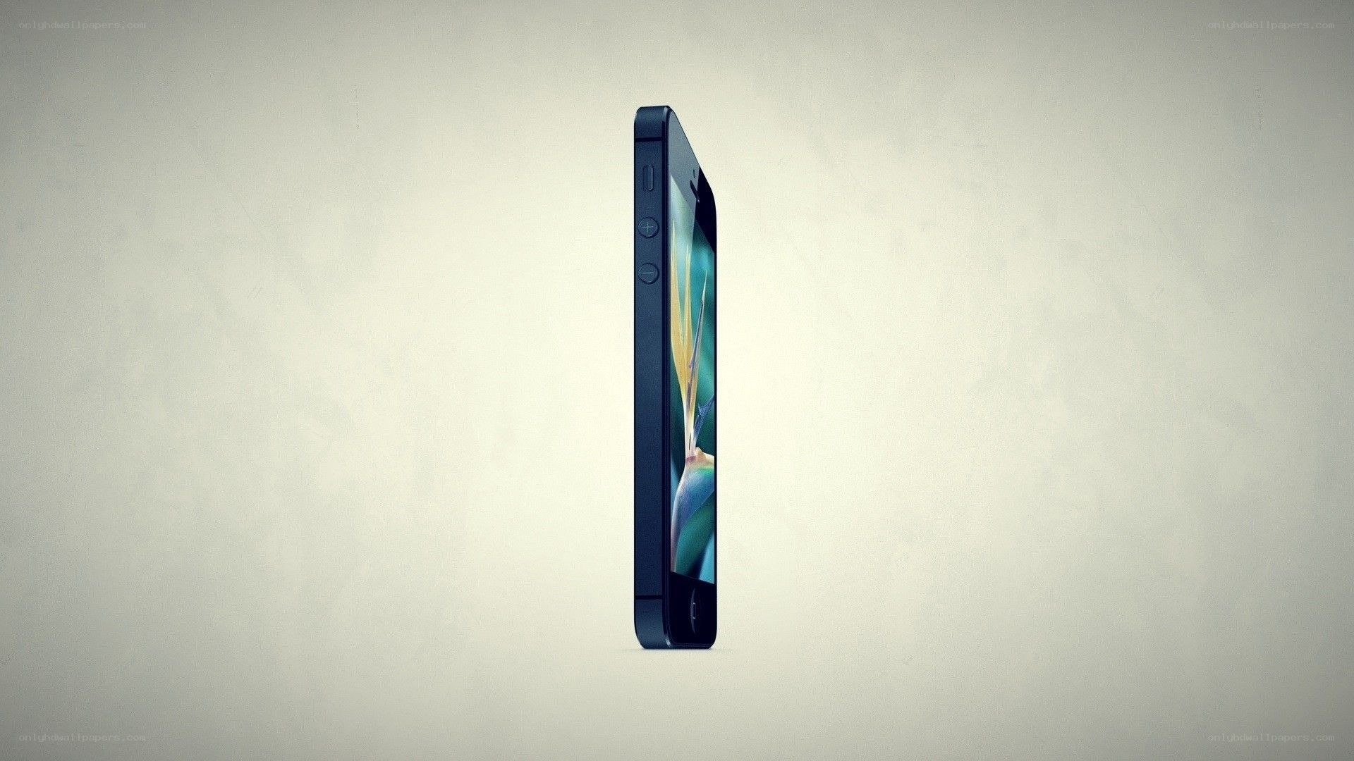 iPhone 5 side profile