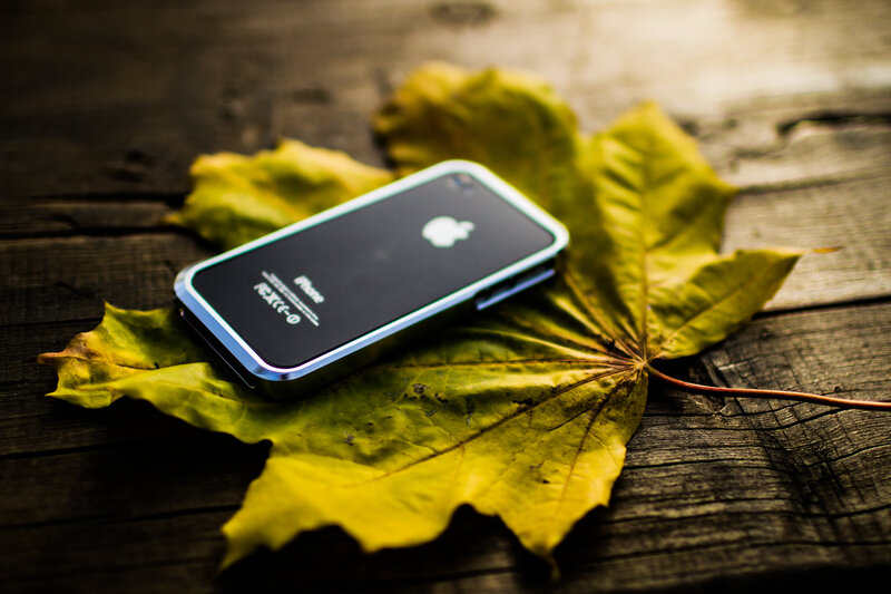iPhone on autumn leaf