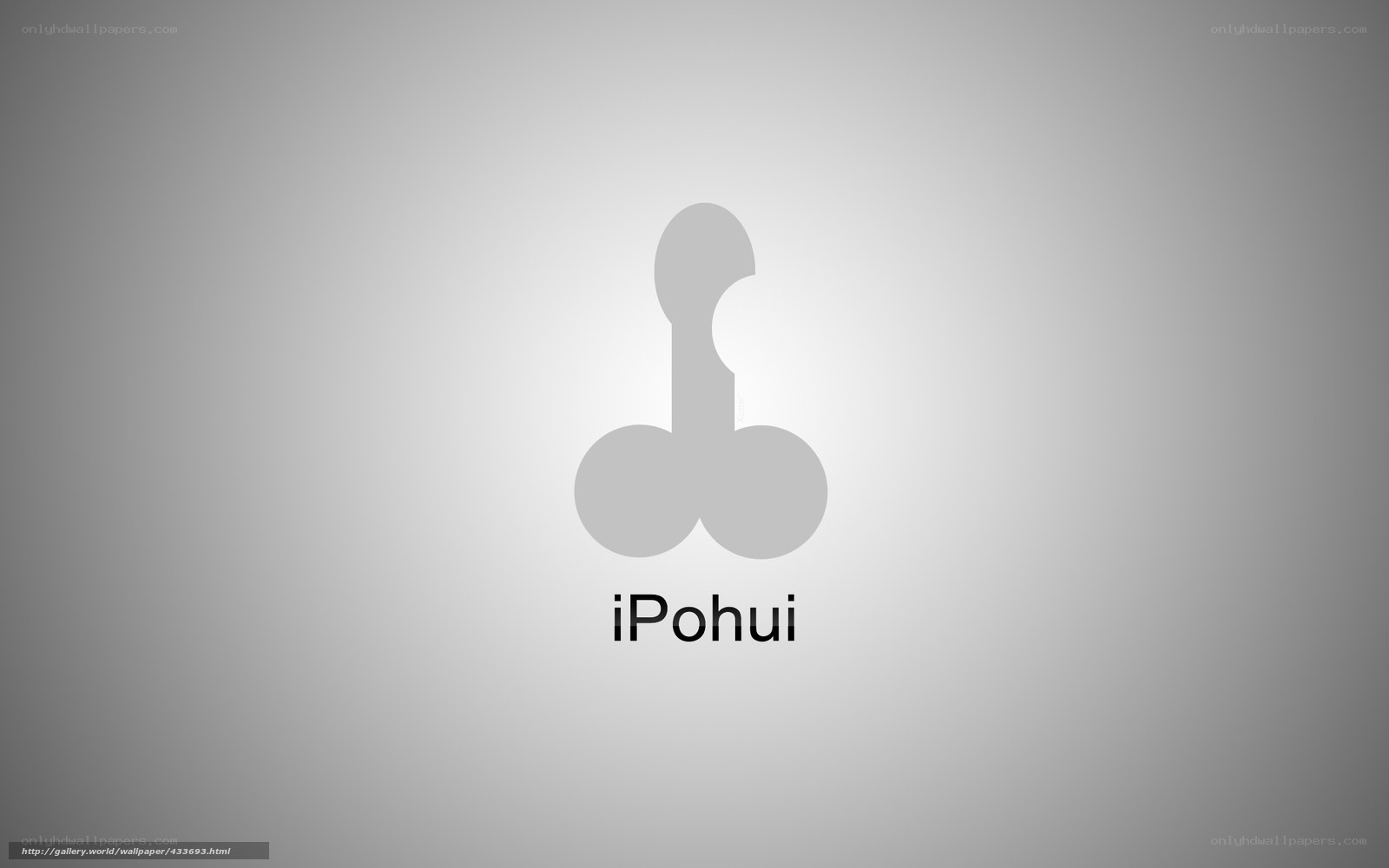 iPohui logo design
