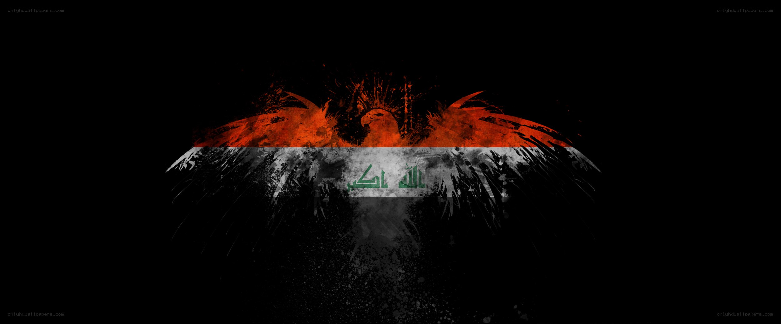 Iraqi flag with eagle design