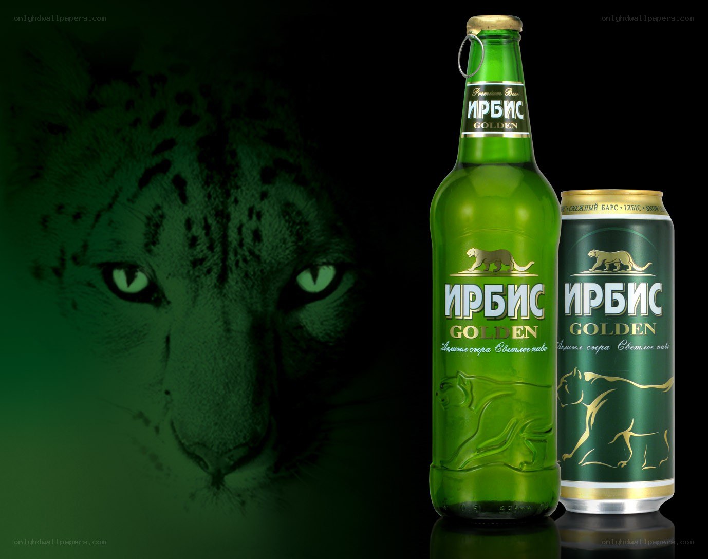 Irbis Golden beer branding