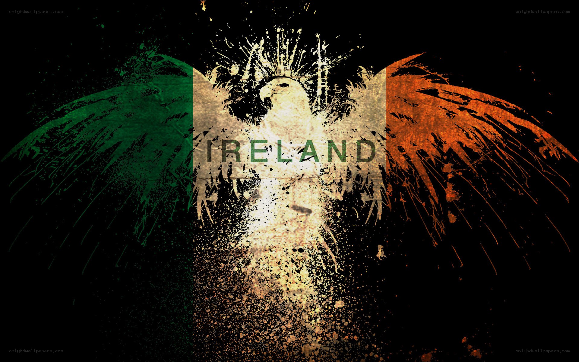 Ireland flag with eagle