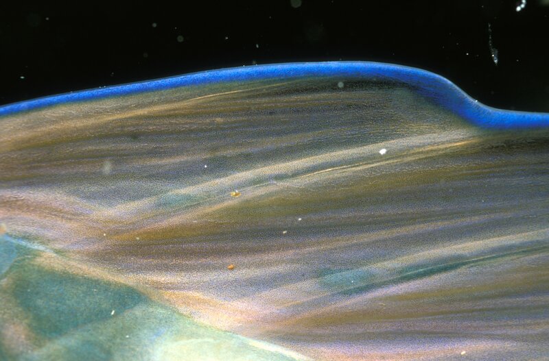 Iridescent oil film on water