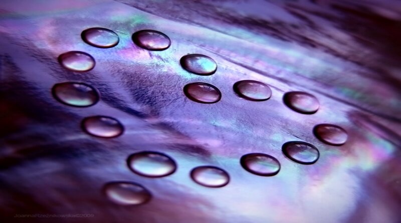Iridescent shell with water droplets