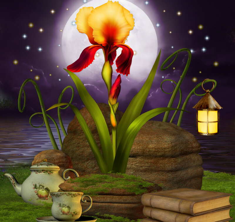 Iris Flower at Night