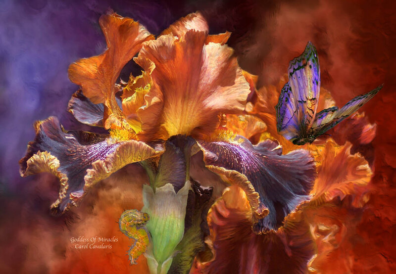 Iris Flower with Butterfly