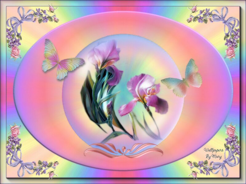 Iris Flowers and Butterflies
