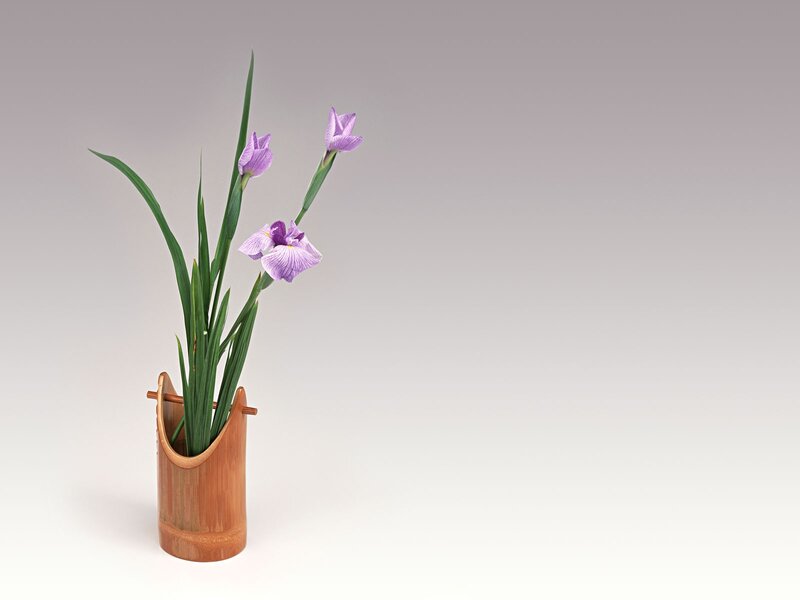 Iris flowers in a bamboo vase