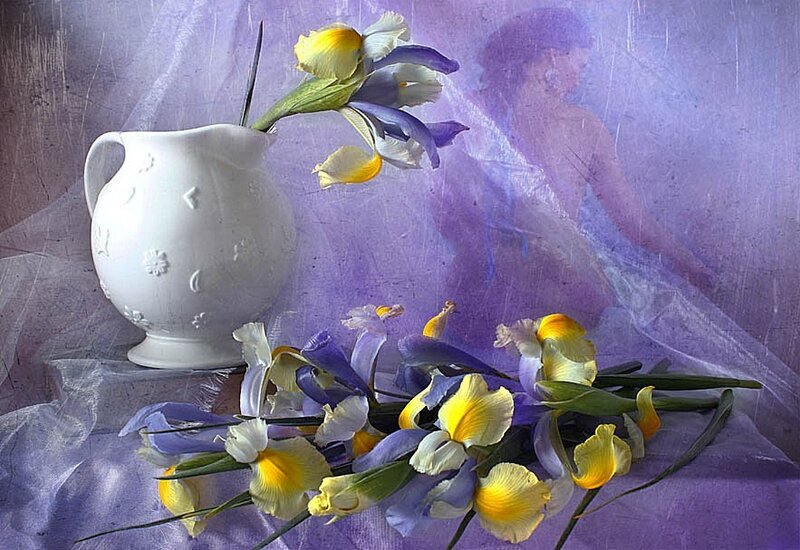 Iris Flowers in a Pitcher
