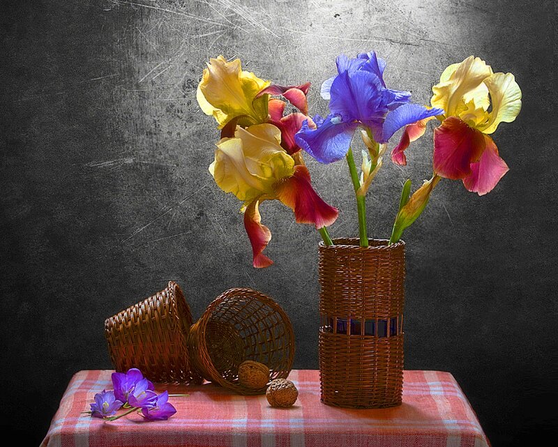 Iris Flowers in Basket