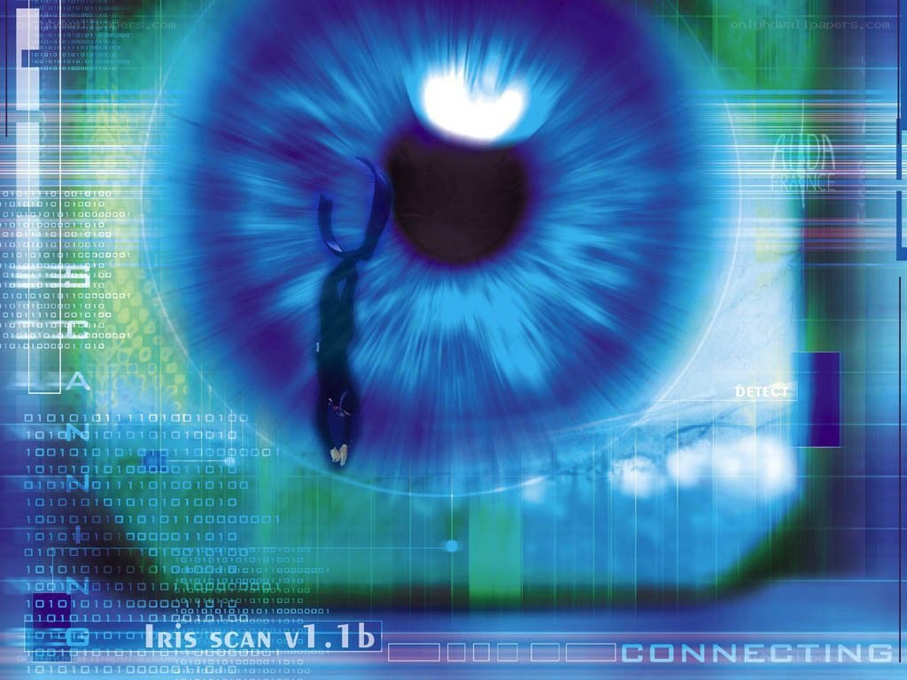 Iris scan interface
