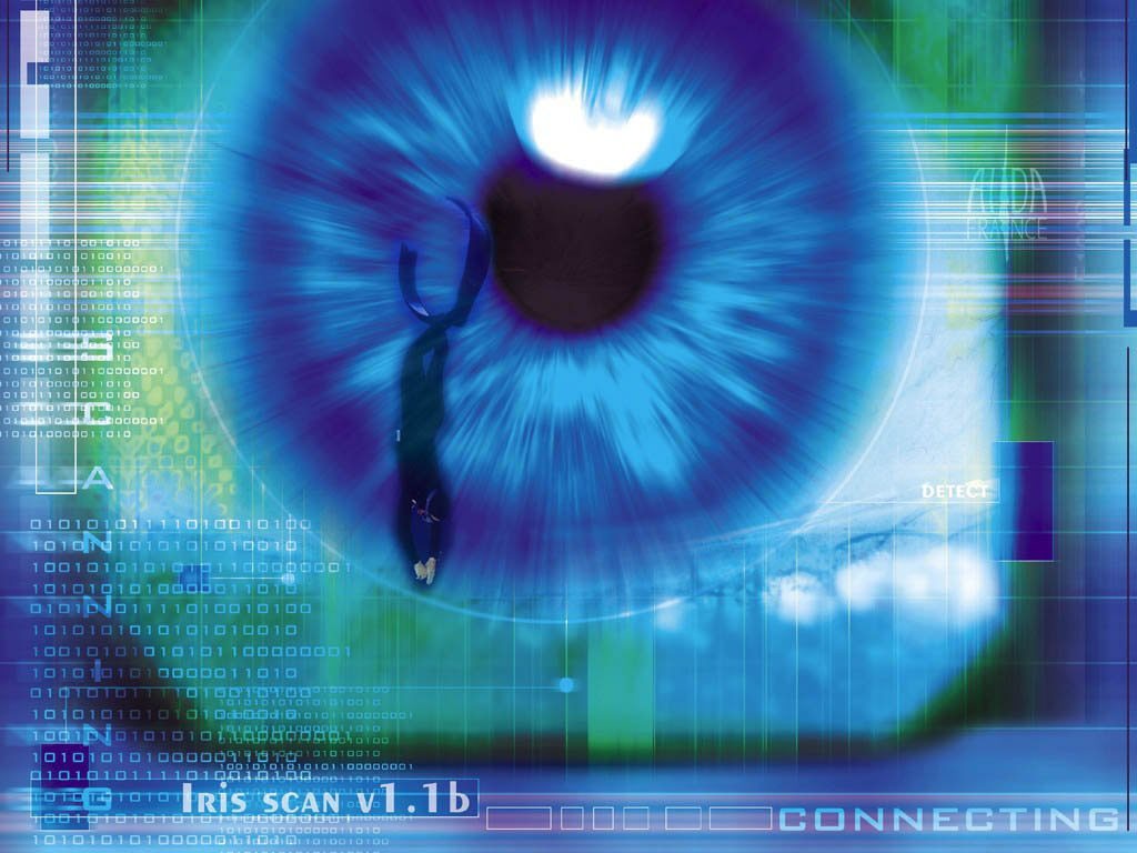 Iris scan interface