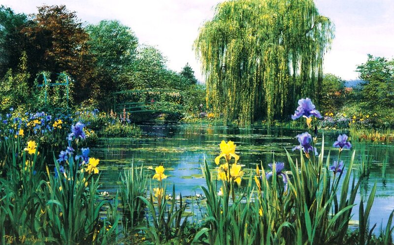 Irises by a Pond