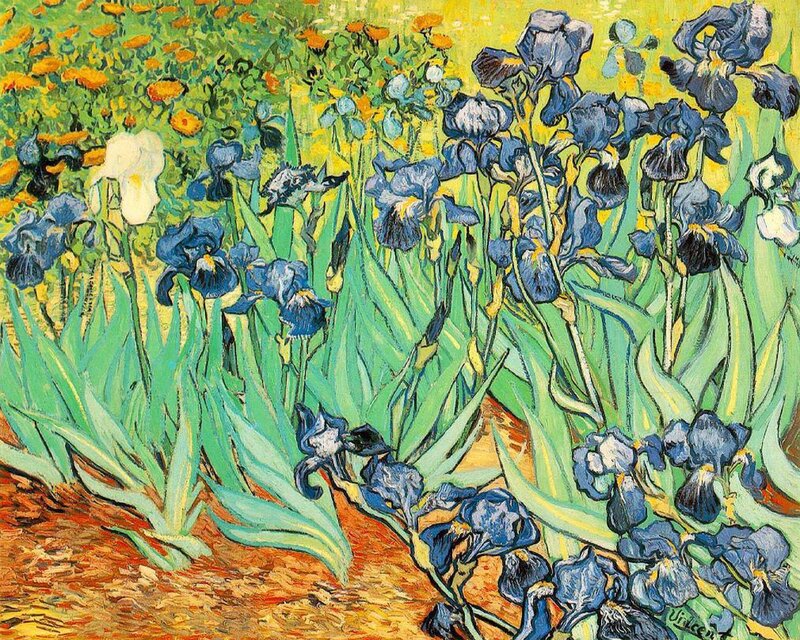 Irises in a Garden
