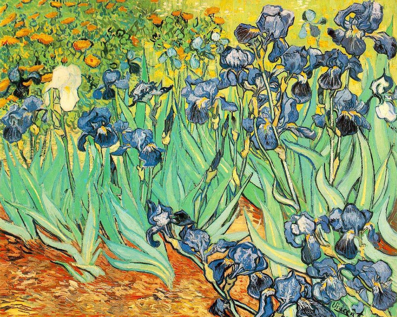 Irises in a Garden